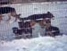 Bild 060